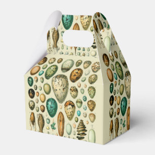 Ballotins Œufs d'oiseaux vintage Art d'œuf de poisson frança