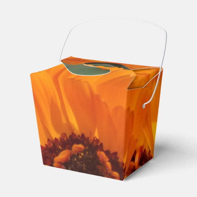 Ballotins Orange Flower Sortir Ballotin (Verso)