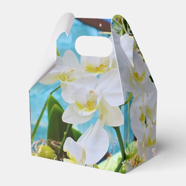 Ballotins Orchidées blanches (Verso)