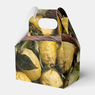 Ballotins Panier de citron d'Amalfi