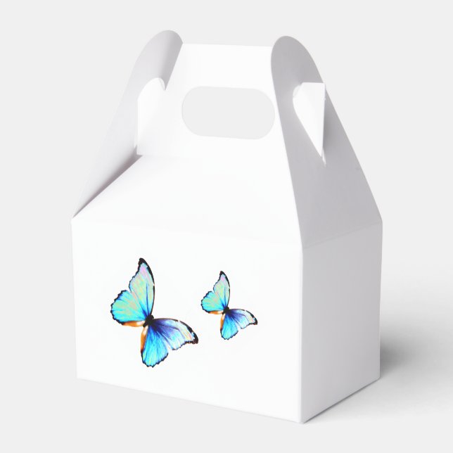 Ballotins Papillon Bleu (Arrière)