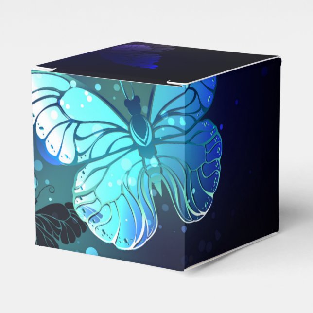 Ballotins Papillon de nuit (Verso)
