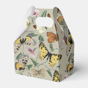 Ballotins Papillon de nuit vintage 1842 Art botanique floral