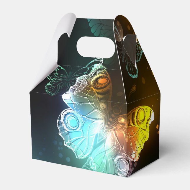 Ballotins Papillon lumineux et papillons de nuit (Arrière)