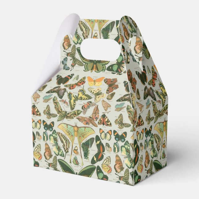 Ballotins Papillons Vintages papillons d'antiquités Art (Verso)