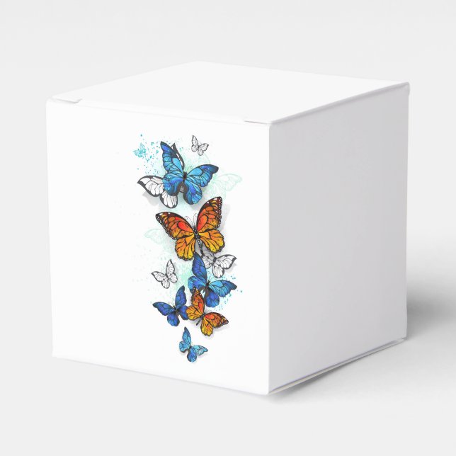 Ballotins Papillons volants Morpho et Monarch (Verso)