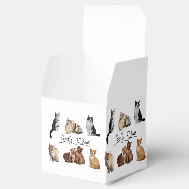 Ballotins paquet de chats, paquet de chats amusants (Ouvert)