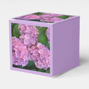Ballotins Pastel rose Hortensia hydrangea fleurs