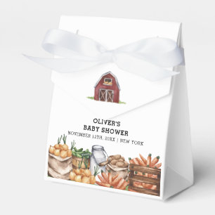 Ballotins Pays classique Baby shower végétarien cultivé loca