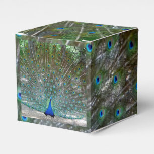 Ballotins Peacock Design Party