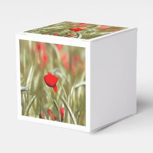 Ballotins Peinture acrylique Hot Poppy