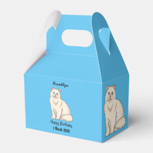 Ballotins Persian cat