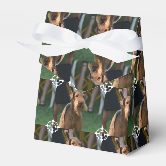 Ballotins Personnaliser (Verso)