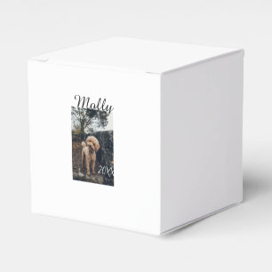 Ballotins Photo de date d'anniversaire moderne d'animal de c