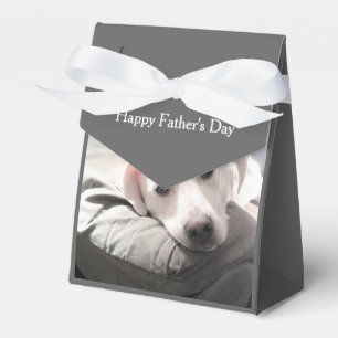 Ballotins Photo du chien blanc mignon accroché avec papa