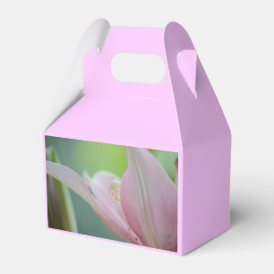 Ballotins Pink Lily par Shirley Taylor