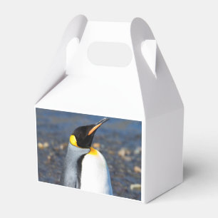 Ballotins Portrait de pingouin