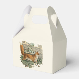 Ballotins Renard rouge dans la campagne rustique Illustratio