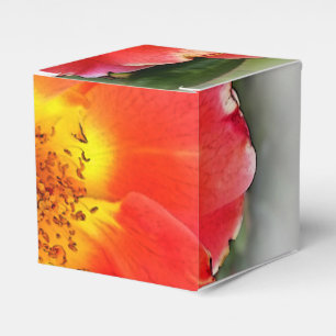 Ballotins Rose en automne