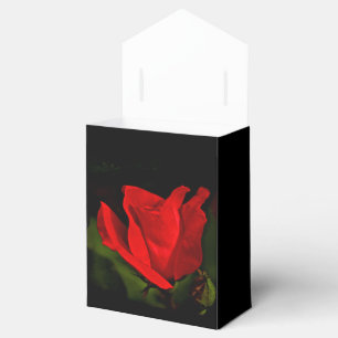 Ballotins Rose rouge - Passion noire