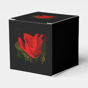 Ballotins Rose rouge - Passion noire