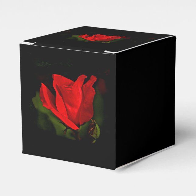Ballotins Rose rouge - Passion noire (Verso)