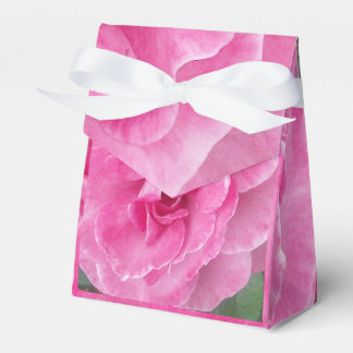 Ballotins Ruban Rose de jardin rose