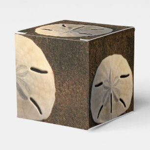 Ballotins Sable Dollar Seashell Party Favoriser boîte cadeau