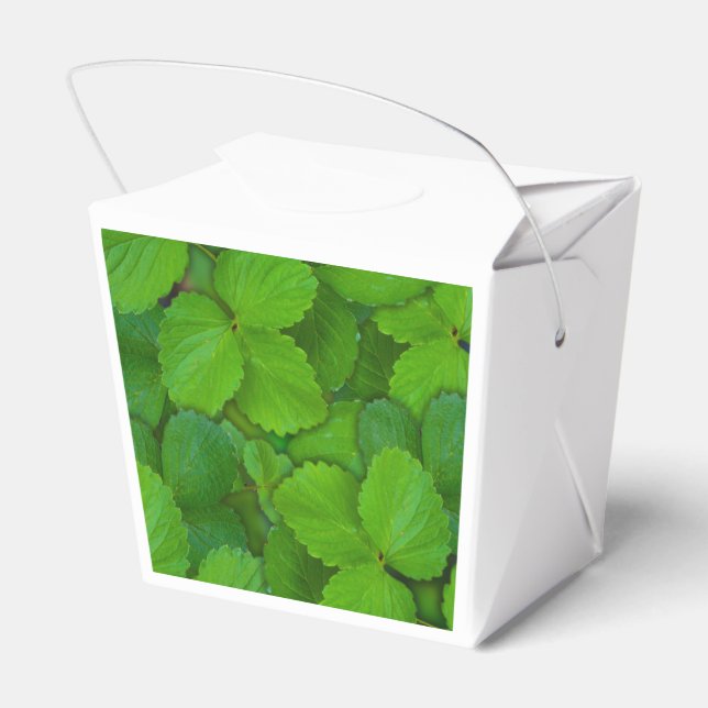 Ballotins Saint Basil Tulsi Green Mint Feuilles (Arrière)