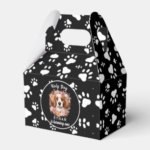 Ballotins Saint Chien, je suis un   Chien fille 1er annivers