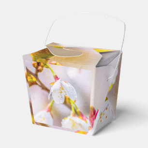Ballotins Sakura - fleurs de cerisier japonaises
