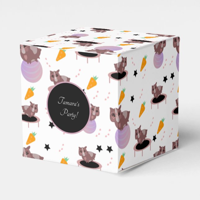 Ballotins Salle De Fitness Pour Cochons De Guinée (Verso)