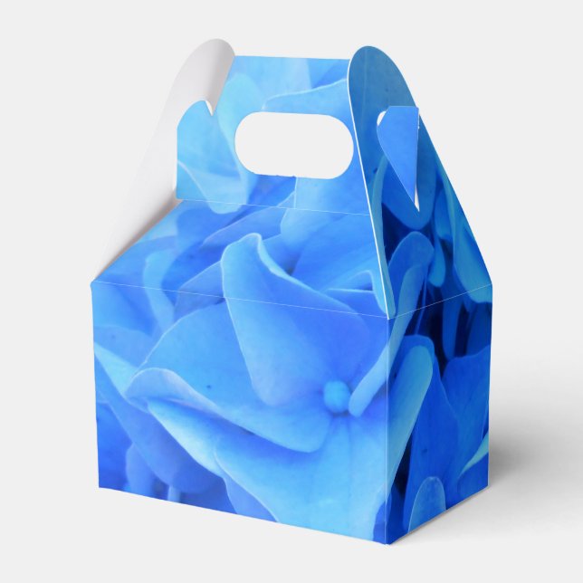 Ballotins Sérapine (Arrière)