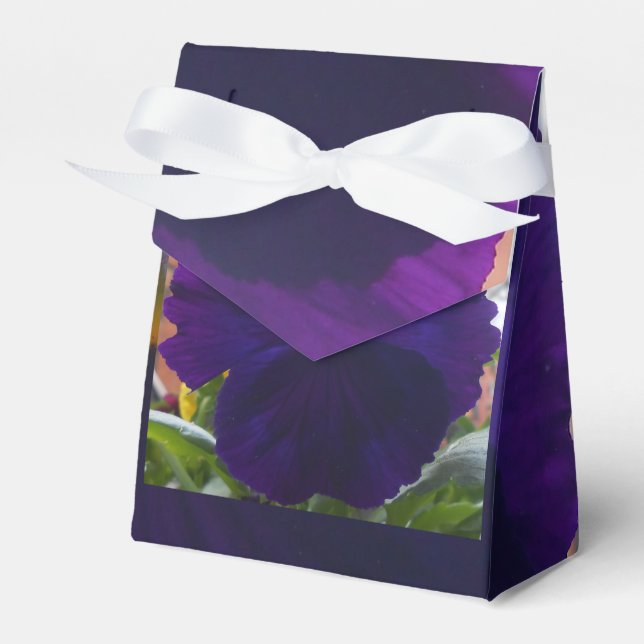 Ballotins Sibylla (Verso)