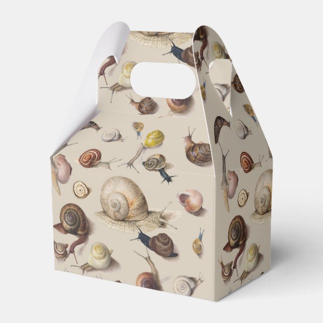 Ballotins Snail Slug Garden Pet Gastropod (Verso)