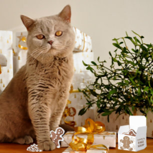 Ballotins Snowflakes et pain d'épice Cookie Noël de Noël