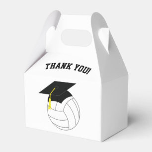 Ballotins Sports de volley-ball