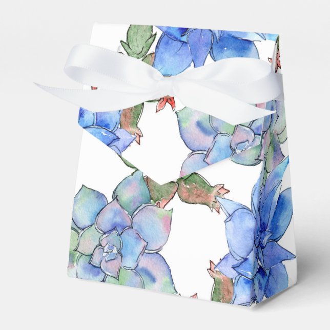 Ballotins Succulents (Verso)