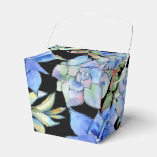 Ballotins Succulents