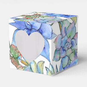 Ballotins Succulents