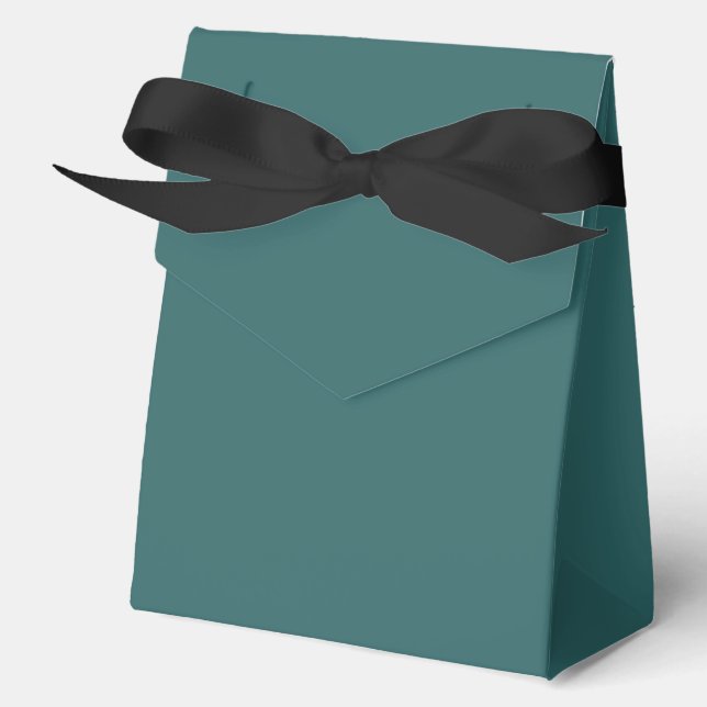 Ballotins Teal Transformateur (Recto)