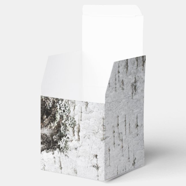 Ballotins Texture d'écorce de bouleau (Ouvert)