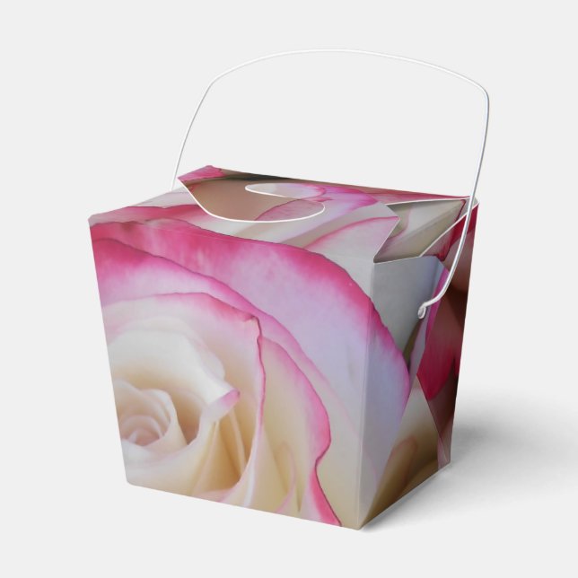 Ballotins Thamar (Verso)