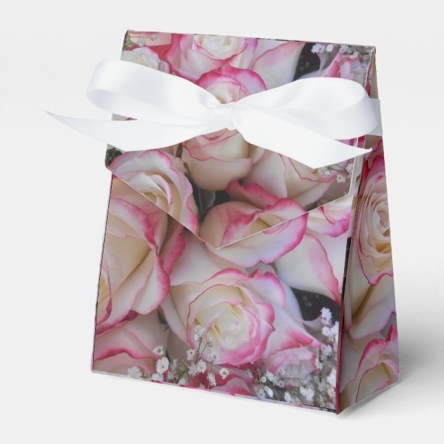 Ballotins Thamar (Verso)