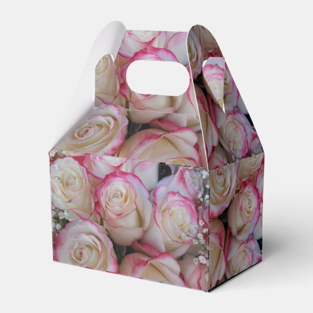 Ballotins Thamar (Verso)