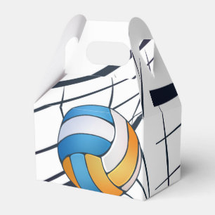 Ballotins Thème de volley-ball fête d'anniversaire