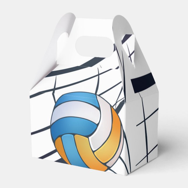 Ballotins Thème de volley-ball fête d'anniversaire (Verso)