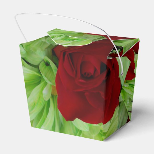 Ballotins Thomasse (Arrière)