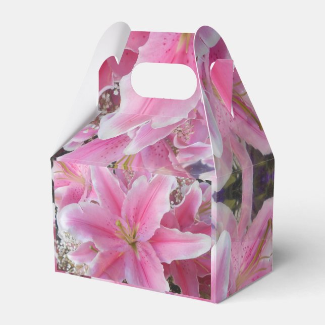 Ballotins Tommasina (Arrière)