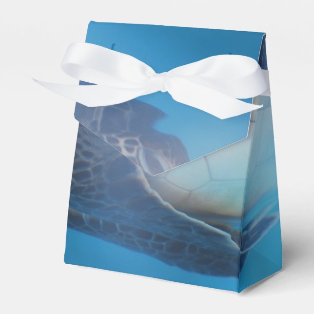 Ballotins Tortue de mer (Verso)